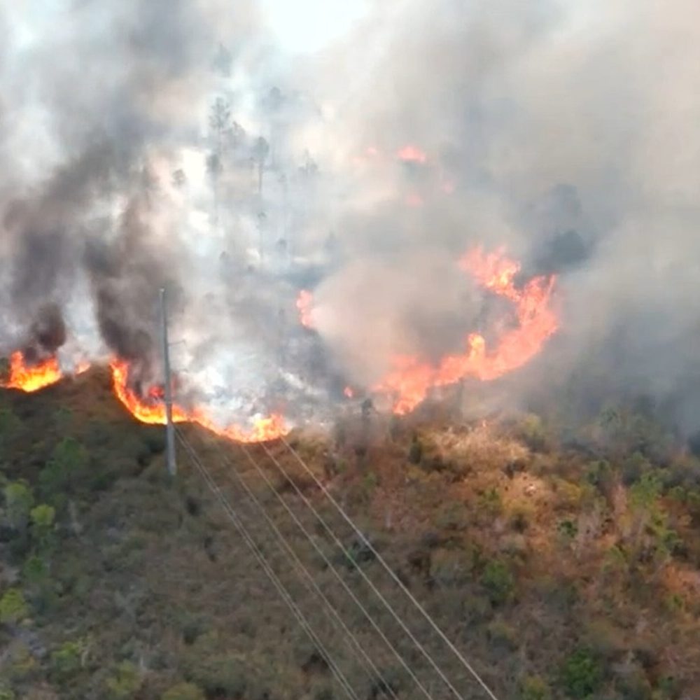 Fire Gulf Shores Alabama News