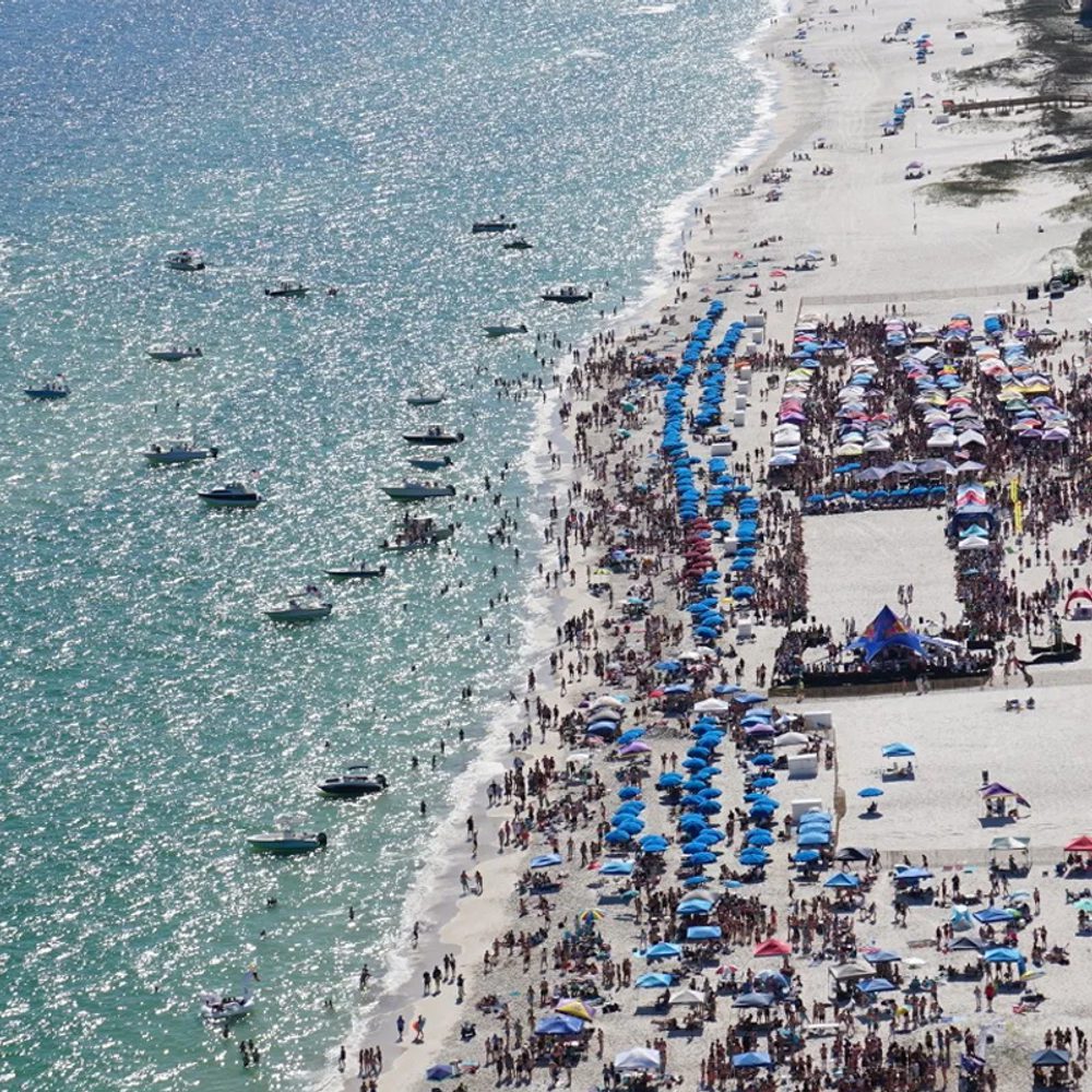 Flora Bama Mullet Toss Alabama News