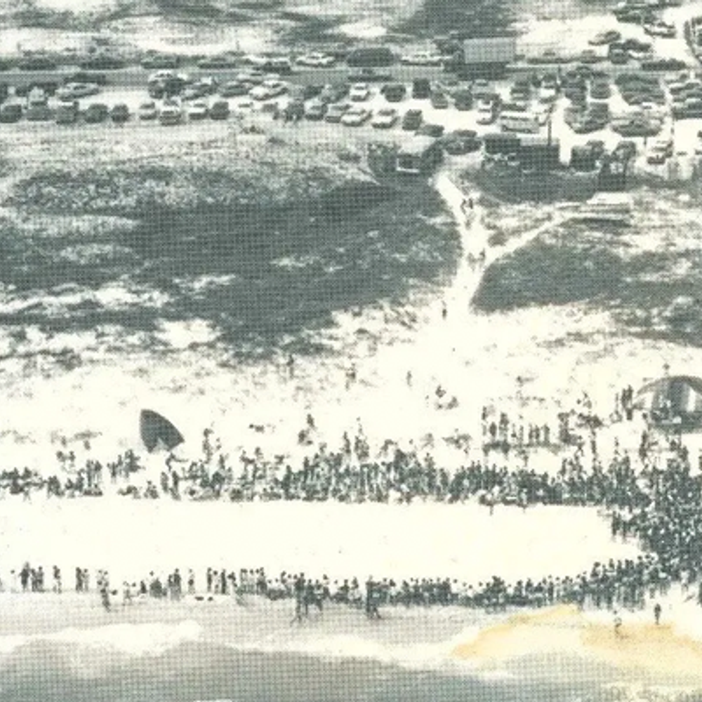 Flora Bama Mullet Toss 1986 Alabama News