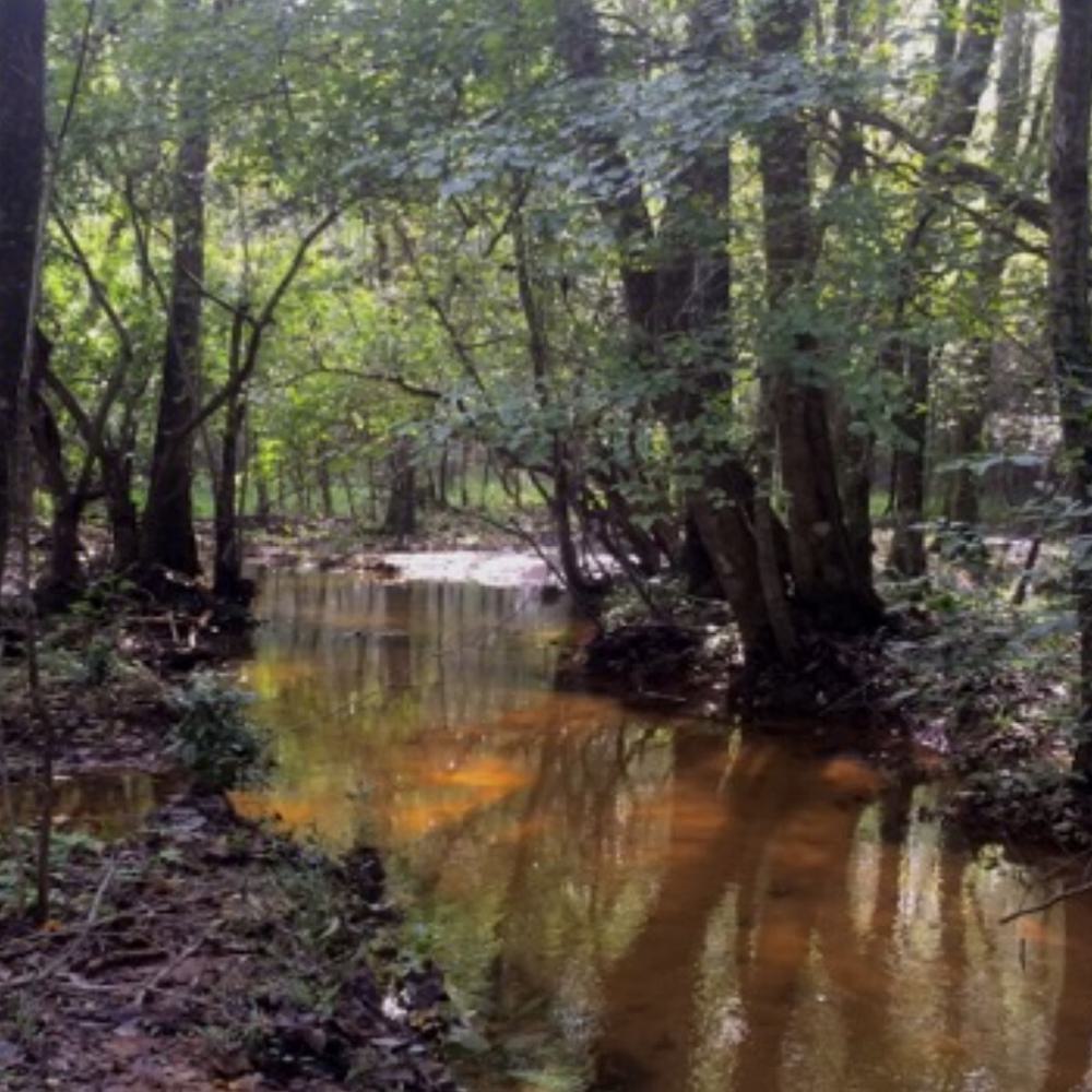 Fly Creek Water in Fairhope Alabama News