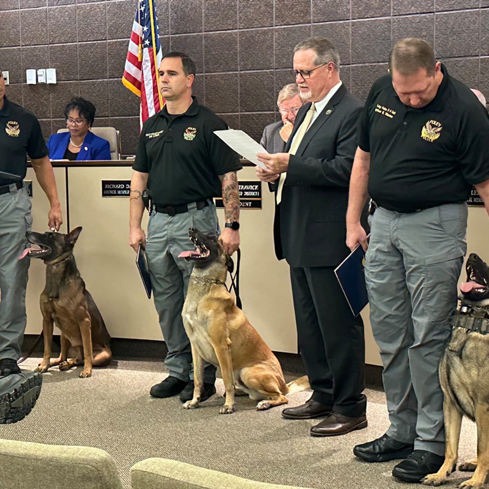 Foley City Council Dogs Alabama News