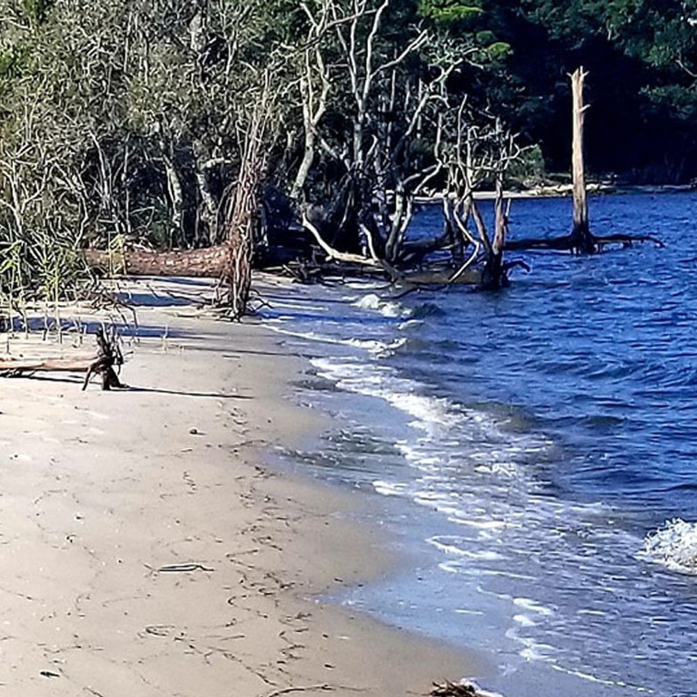 Fort Morgan Civic Association Alabama News