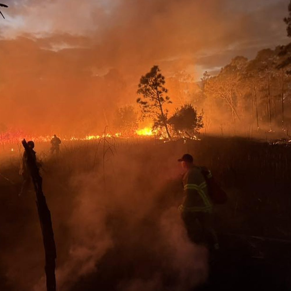 Fort Morgan brush fire Alabama News