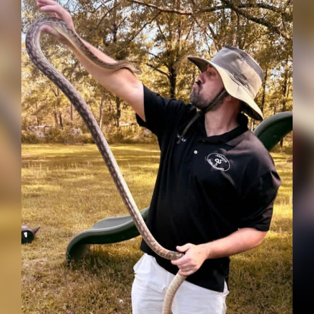 Frankie Ferguson Alabama News