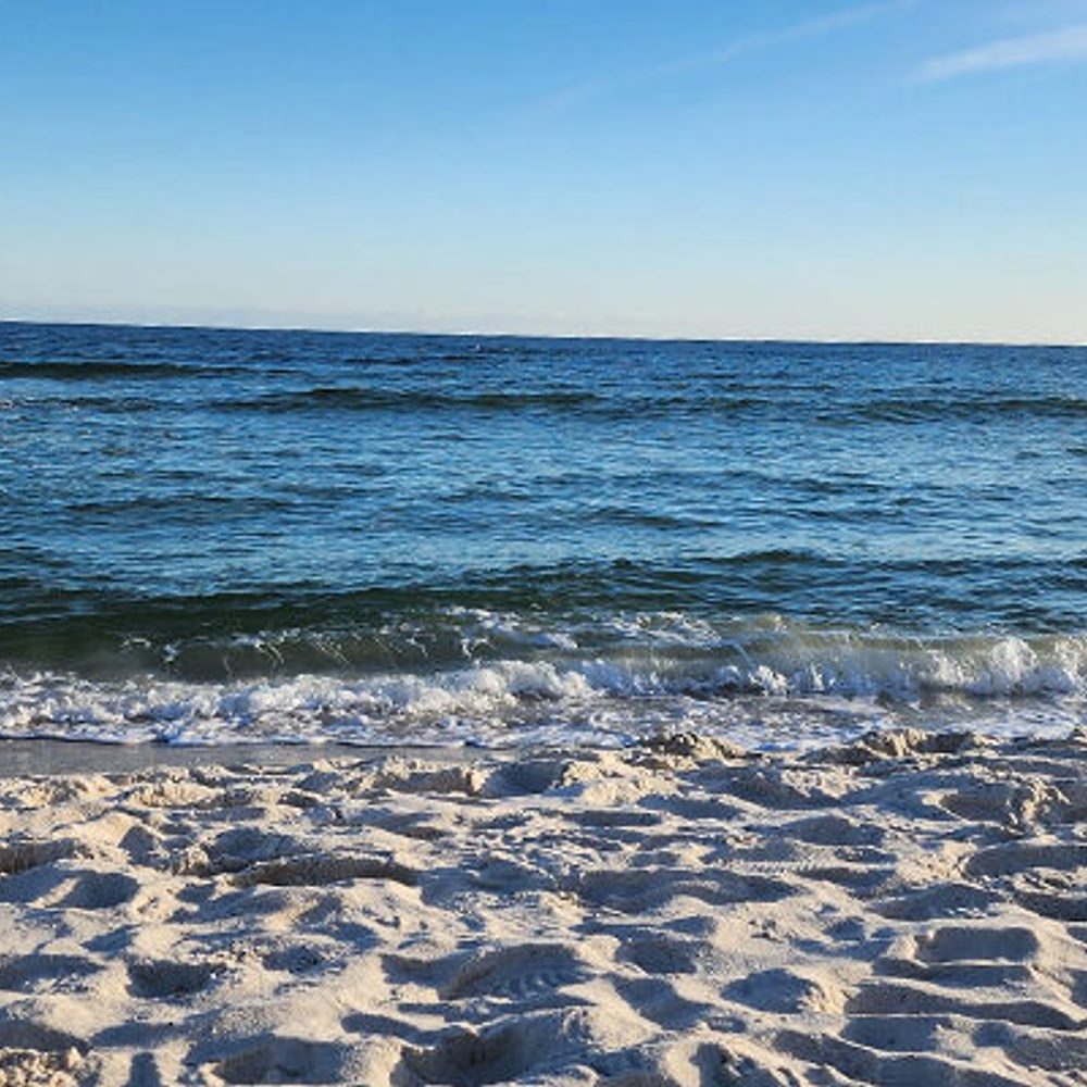 GULF SHORES PIC Alabama News