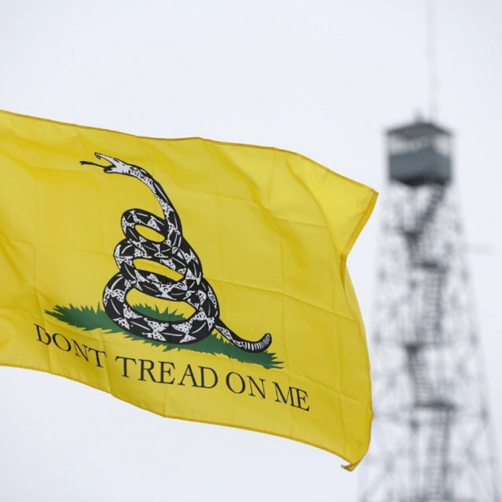 Gadsden Flag nationalinterest org Alabama News