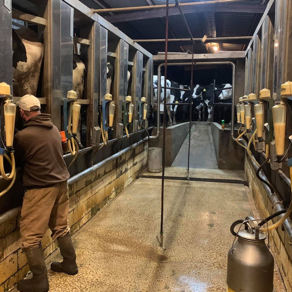 Gilmer Familly Farm 4 Alabama News