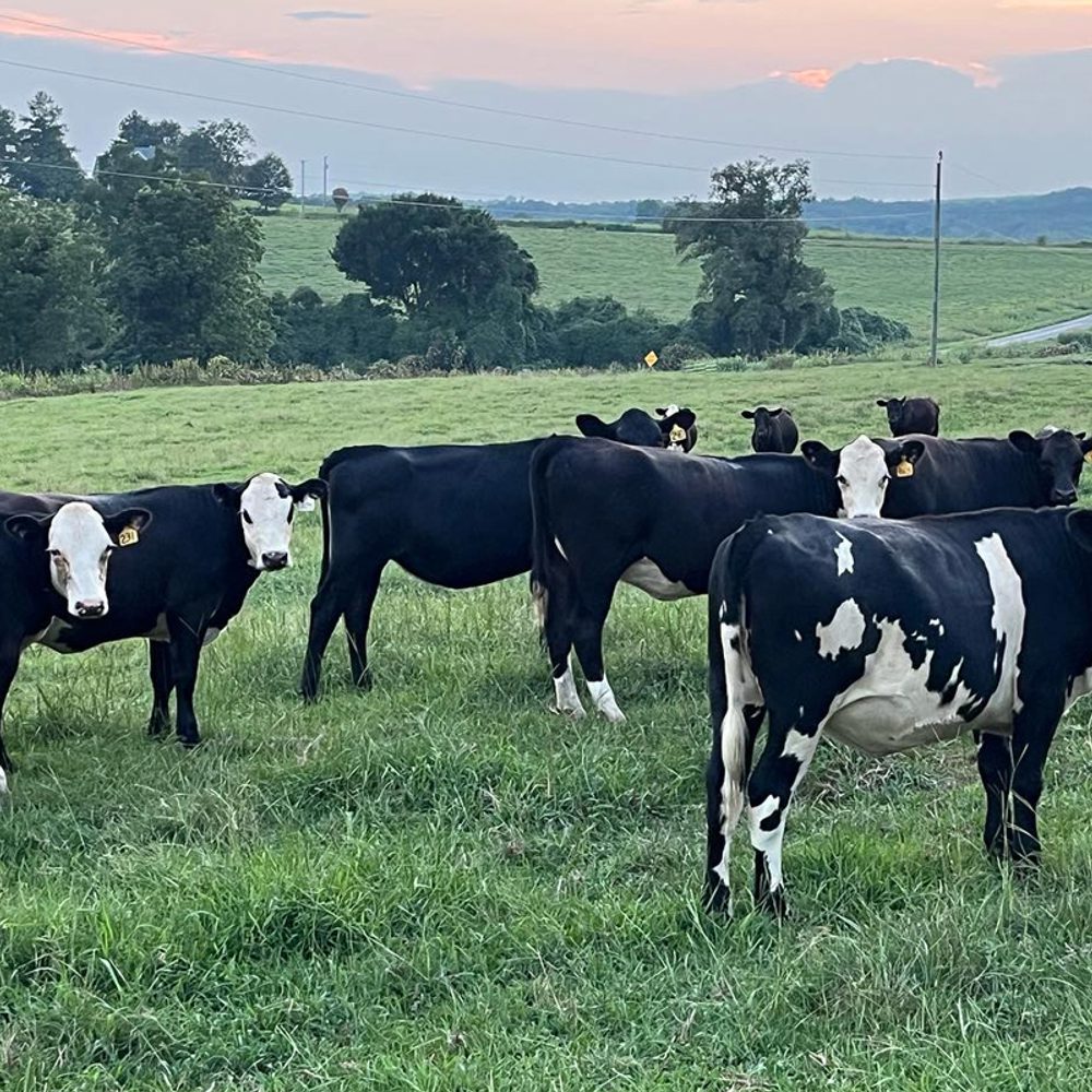 Gilmer Family Farm 1 Alabama News