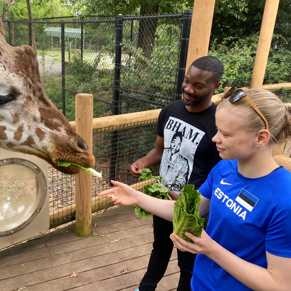 Giraffe2 estonia athlete Alabama News