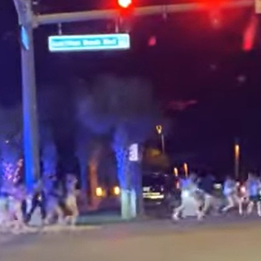 Gulf Shores Video Alabama News