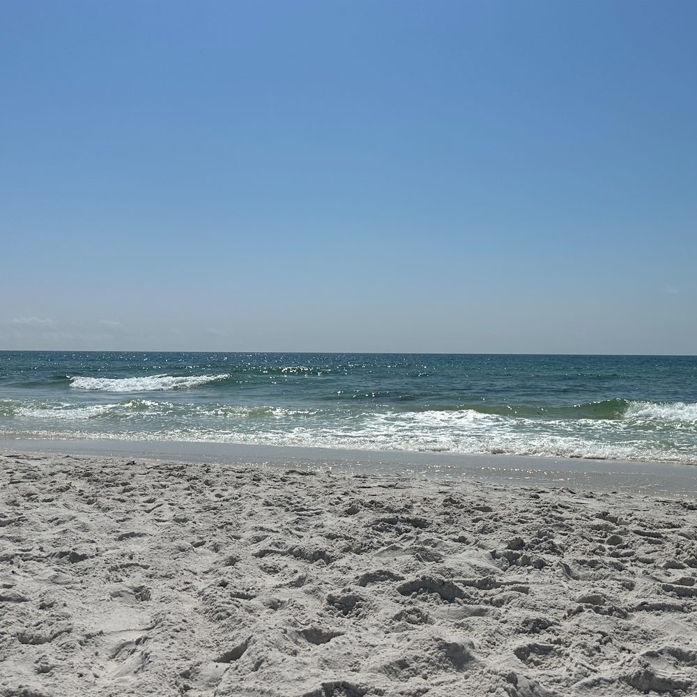 Gulf Shores beach Alabama News