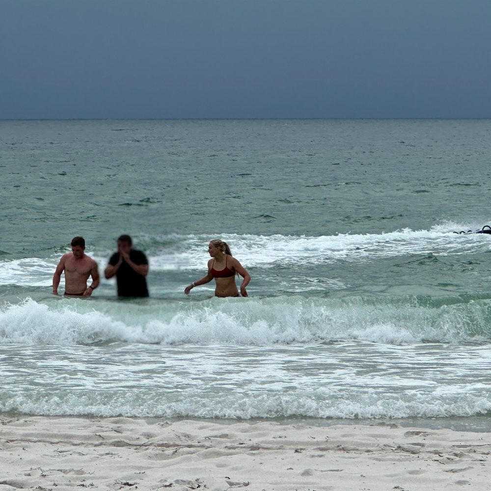 Gulf Shores Alabama News