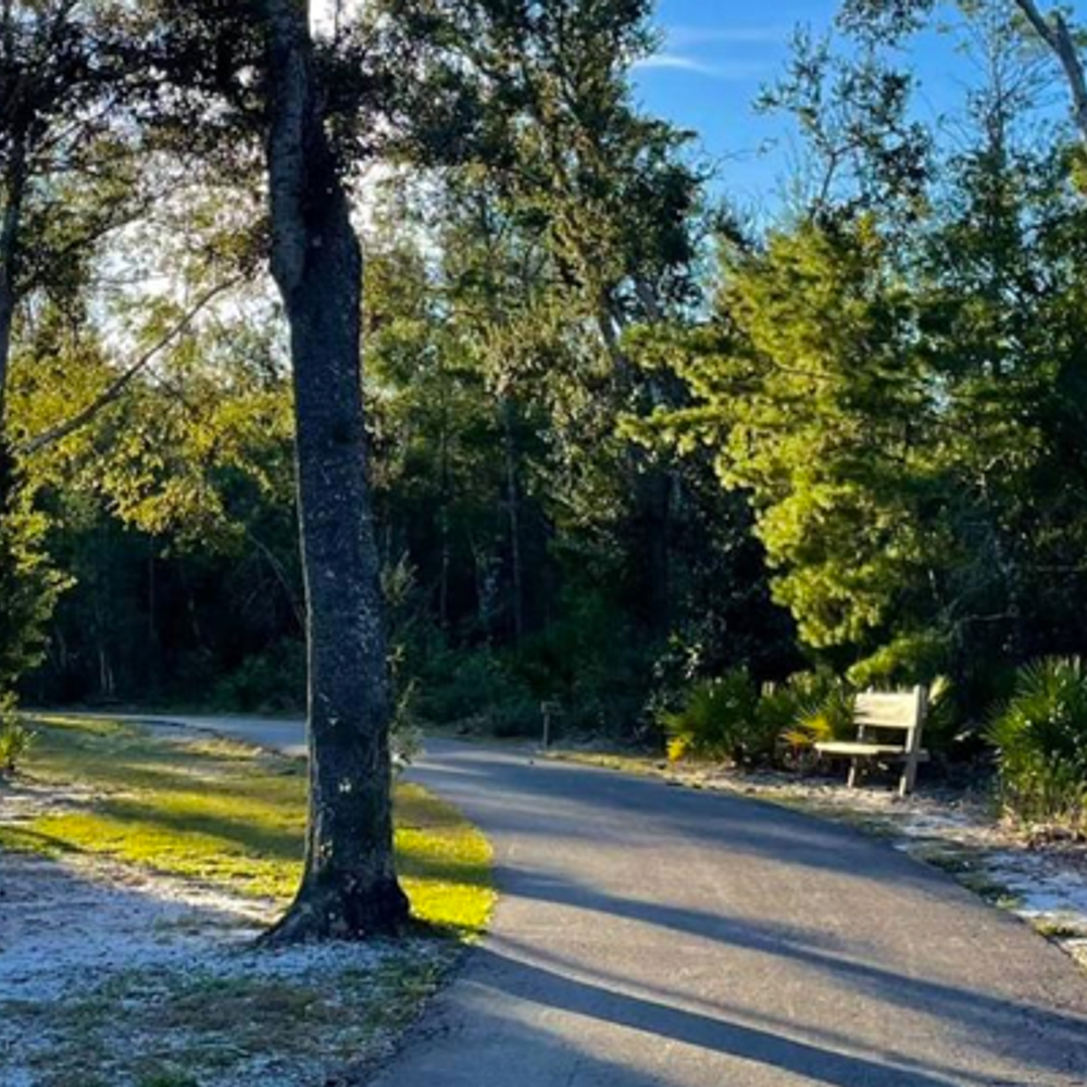 Gulf State Parks from Alapark Alabama News