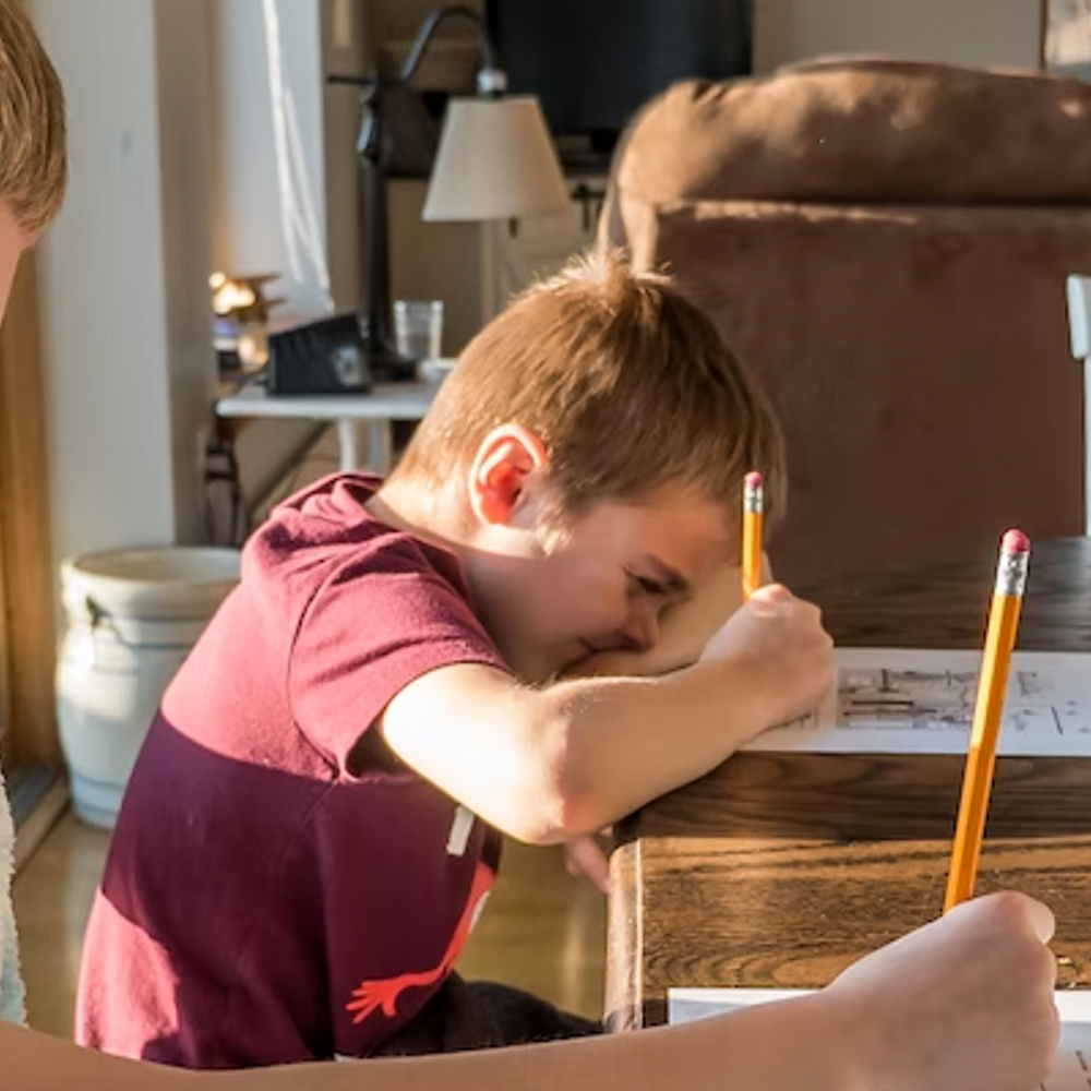 Homeschool by Jessica Lewis Alabama News