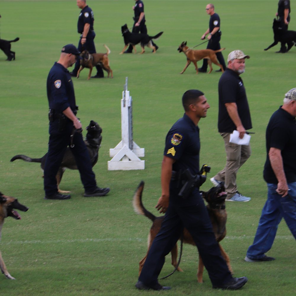 K9 COMPETITION Alabama News
