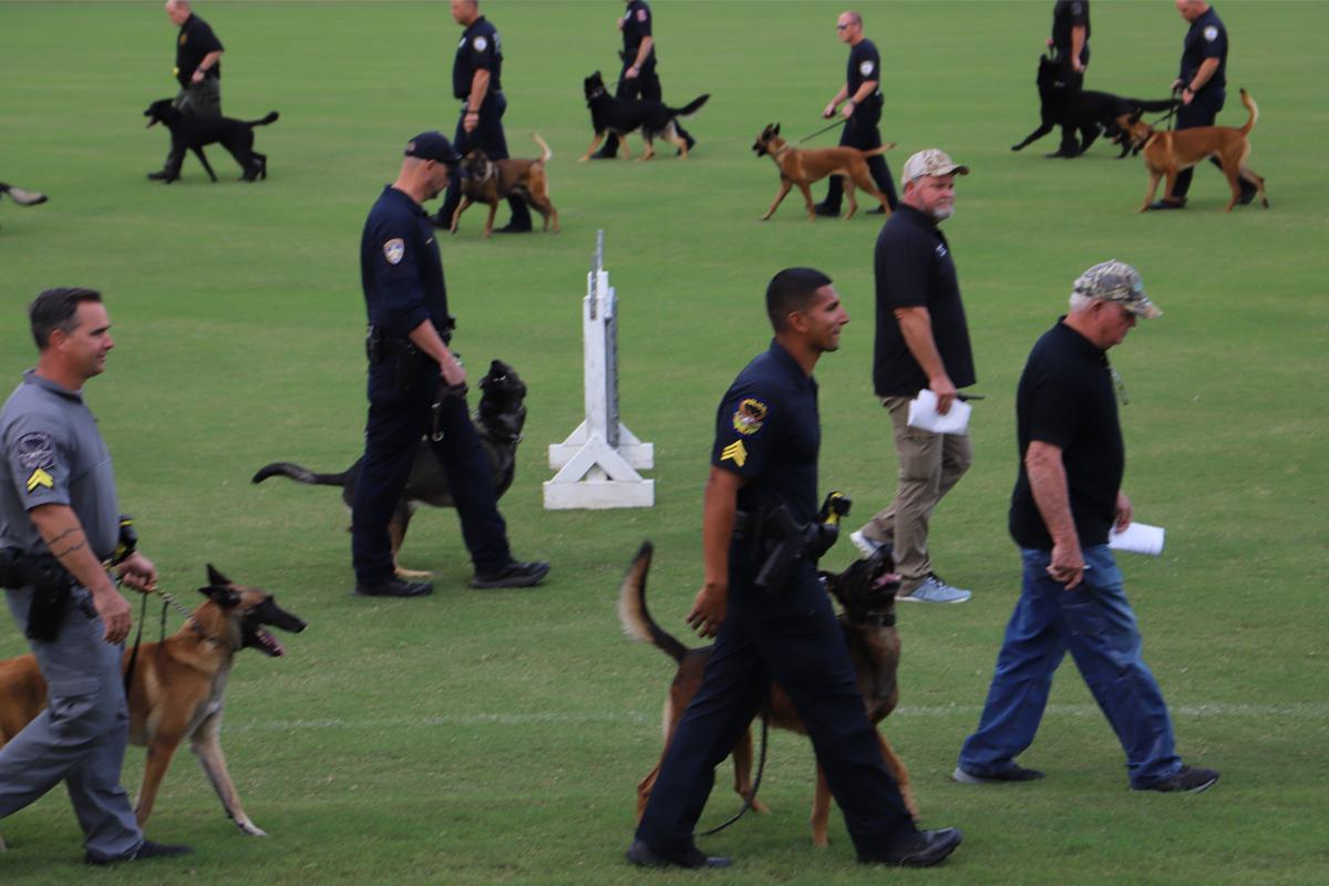 K9 COMPETITION