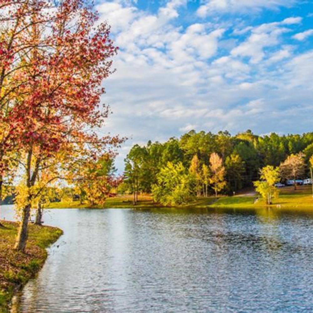 Lurleen Wallace State Park alapark com Alabama News
