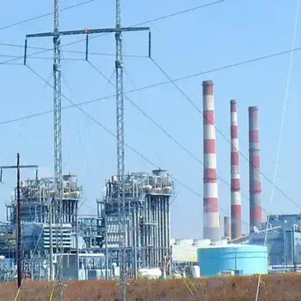 MOBILE BAYKEEPER PLANT BERRY Alabama News