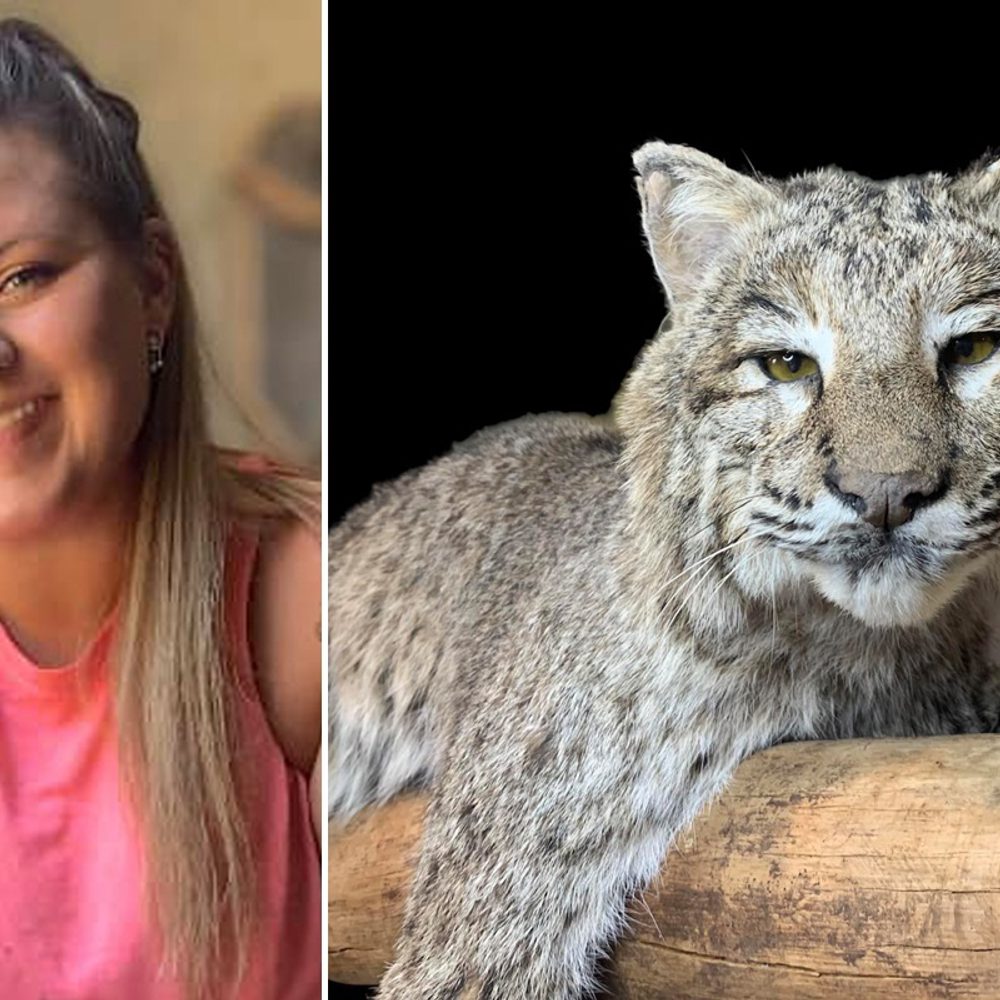 Meadows Taxidermy 4 Alabama News