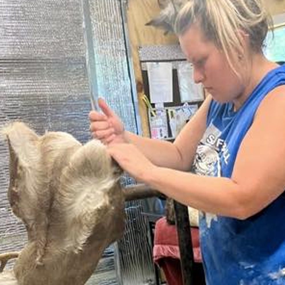 Meadows Taxidermy 5 Alabama News