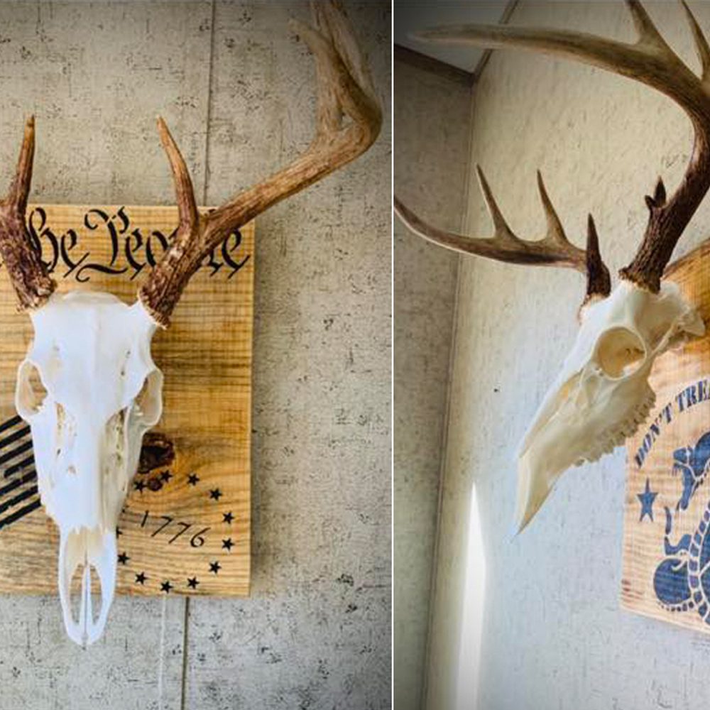 Meadows Taxidermy Alabama News