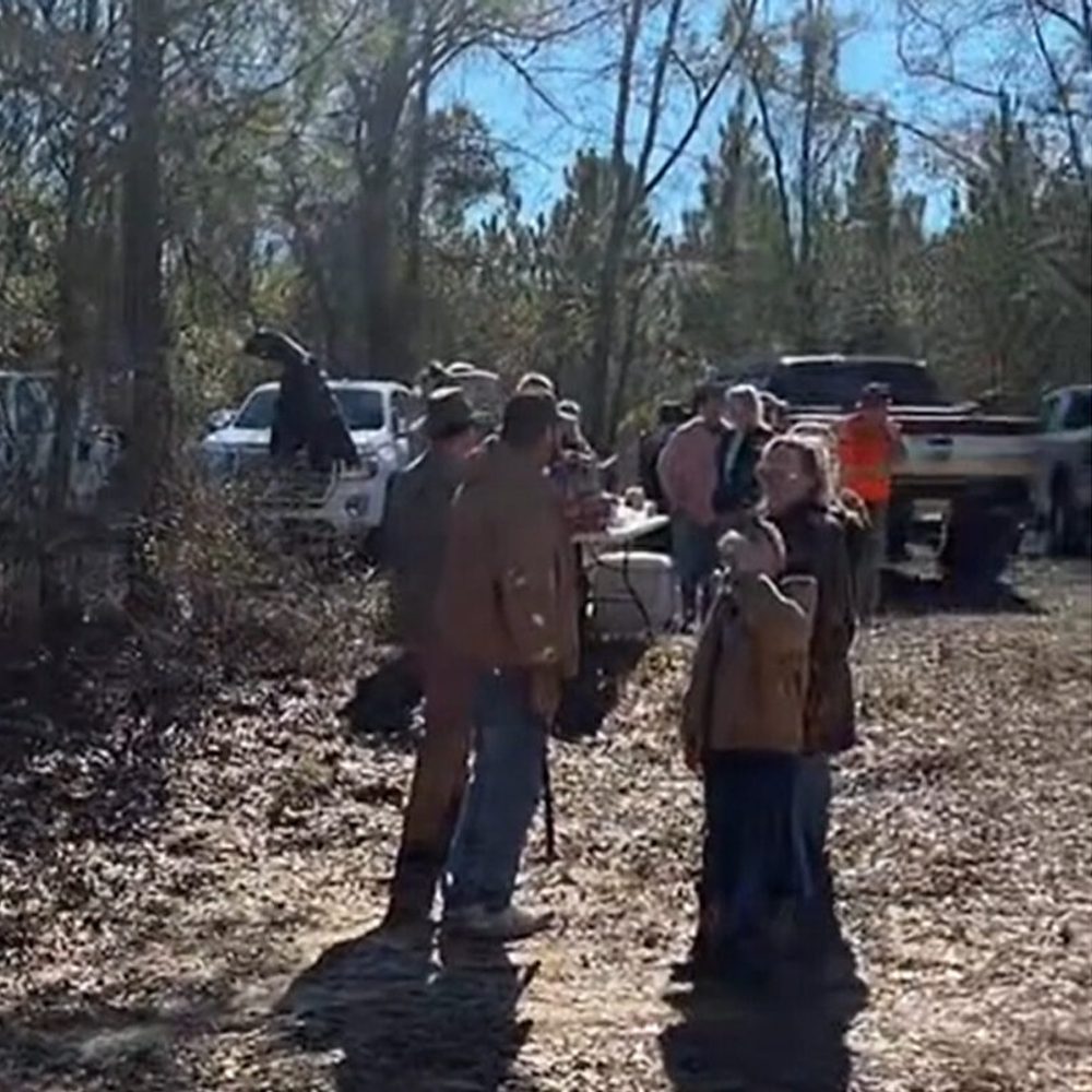 Missing Child Alabama News