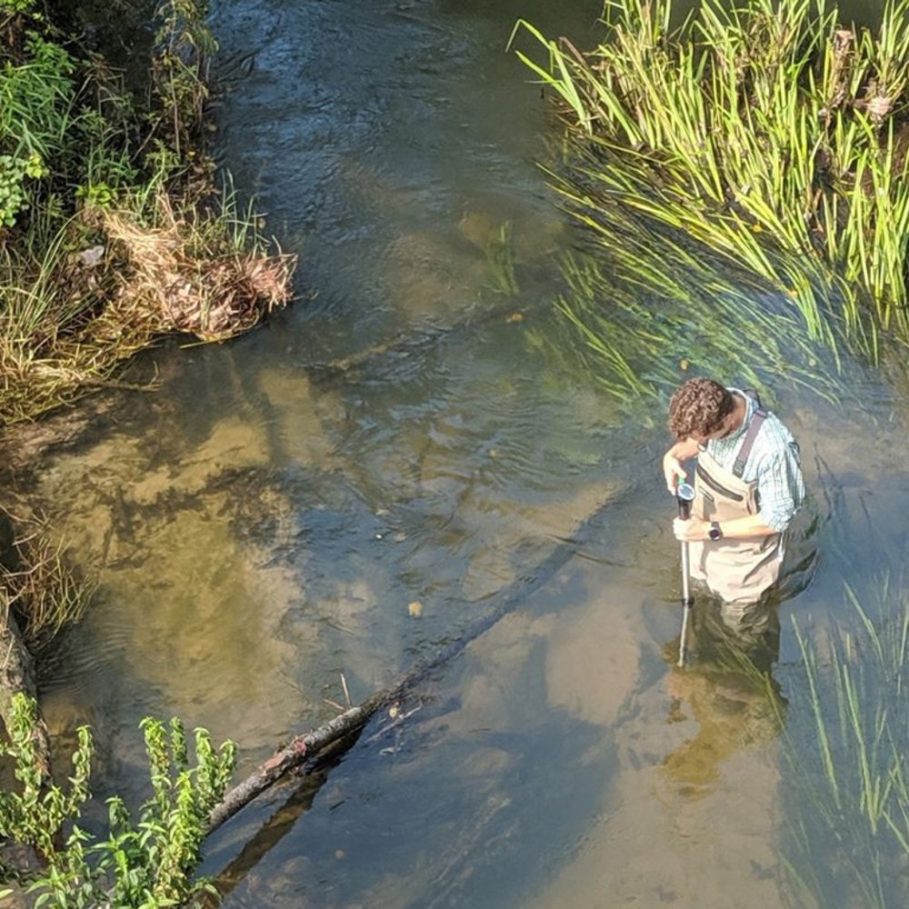 Mobile Baykeeper Alabama News