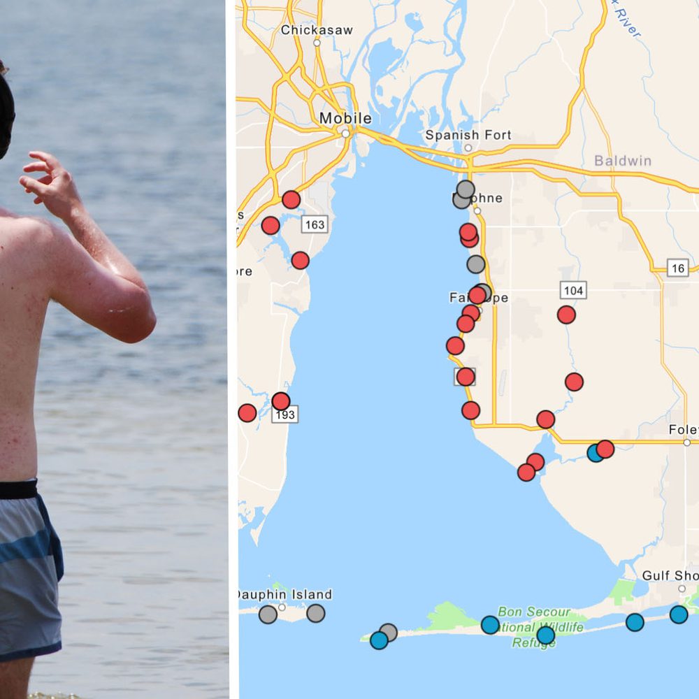 Mobile Baykeepers bacteria Alabama News