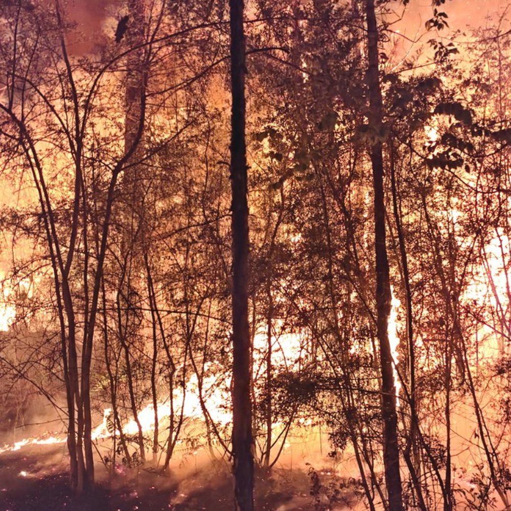 Mobile County wildfire Alabama News