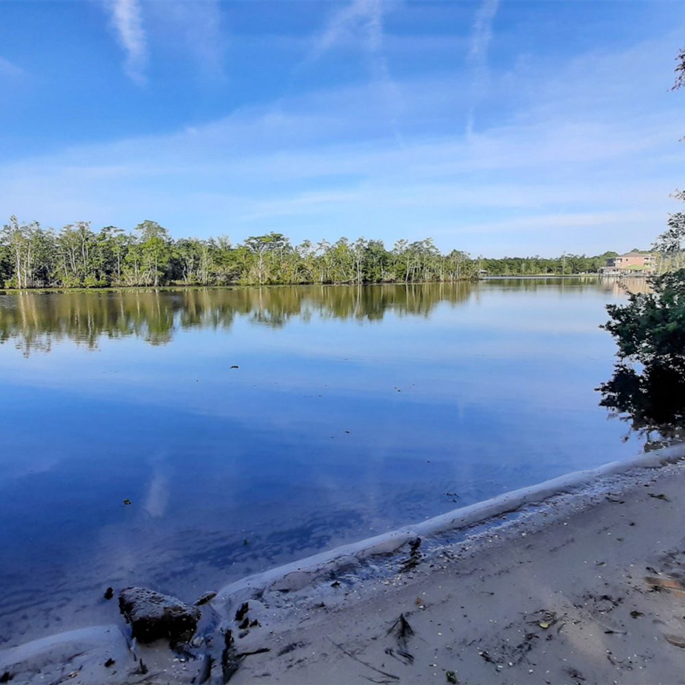 Mobile water access Alabama News