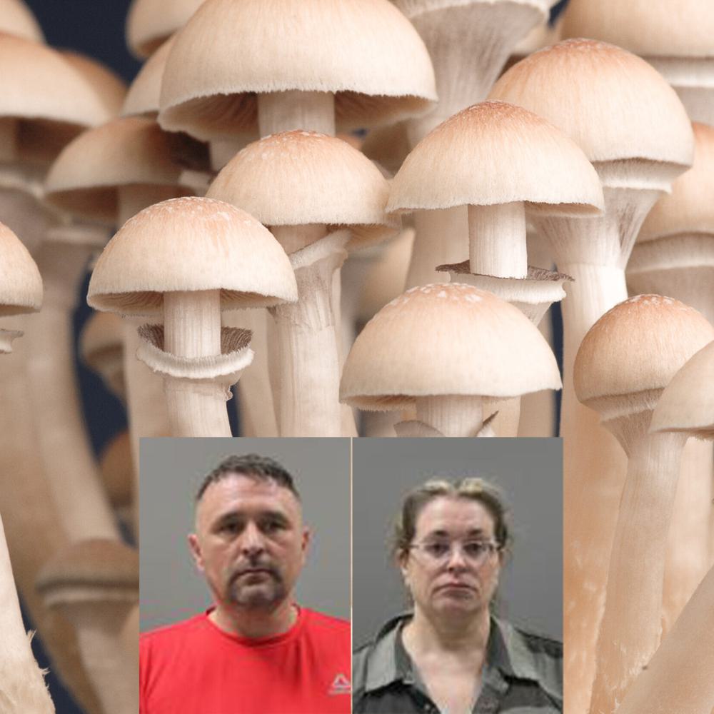 Limestone Mushroom arrest. Alabama News