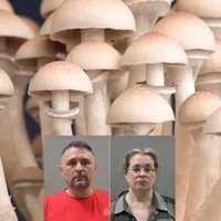 Limestone Mushroom arrest.
