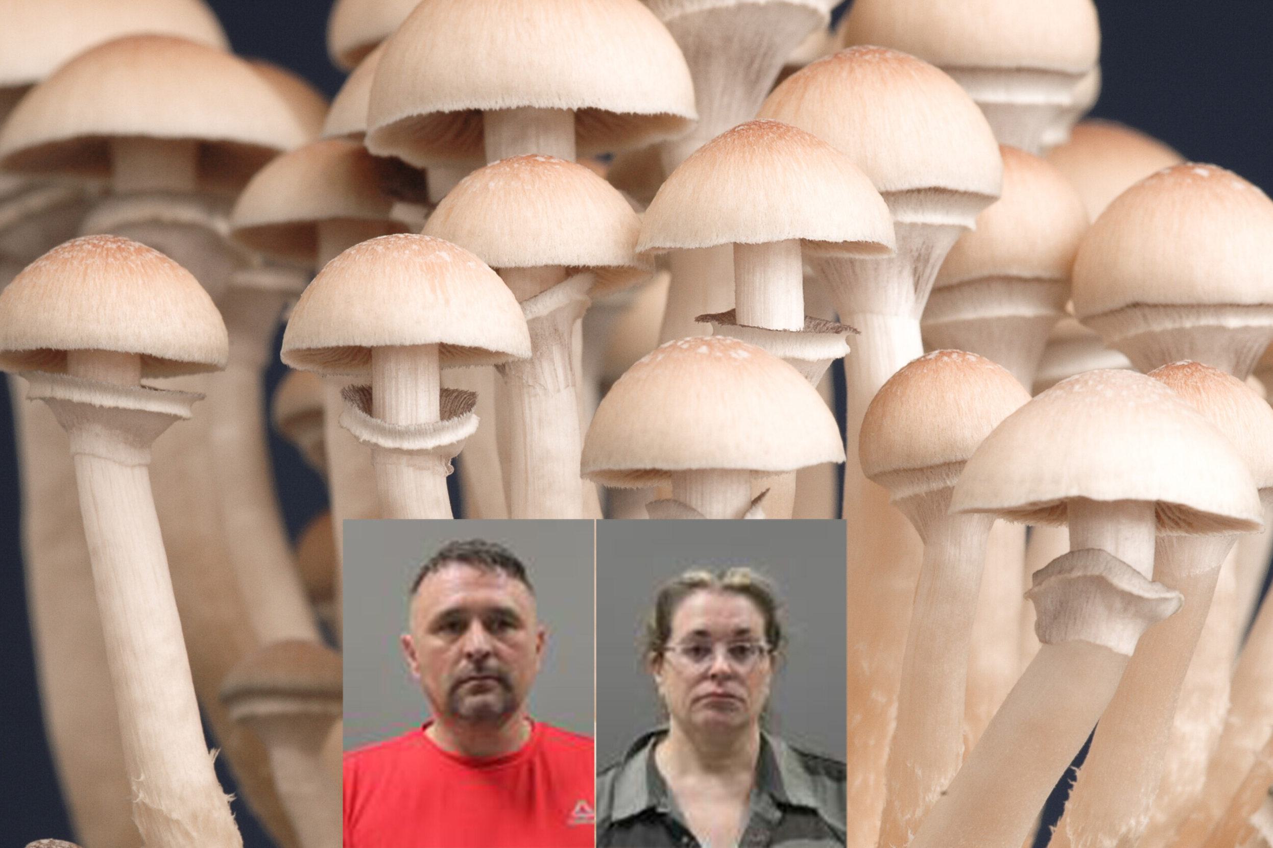 Limestone Mushroom arrest.