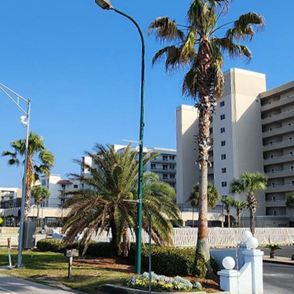 Orange Beach Alabama News