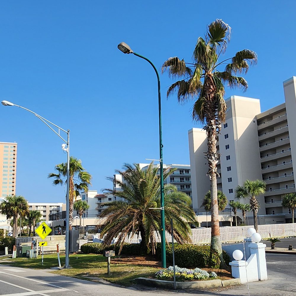 Orange Beach Alabama News