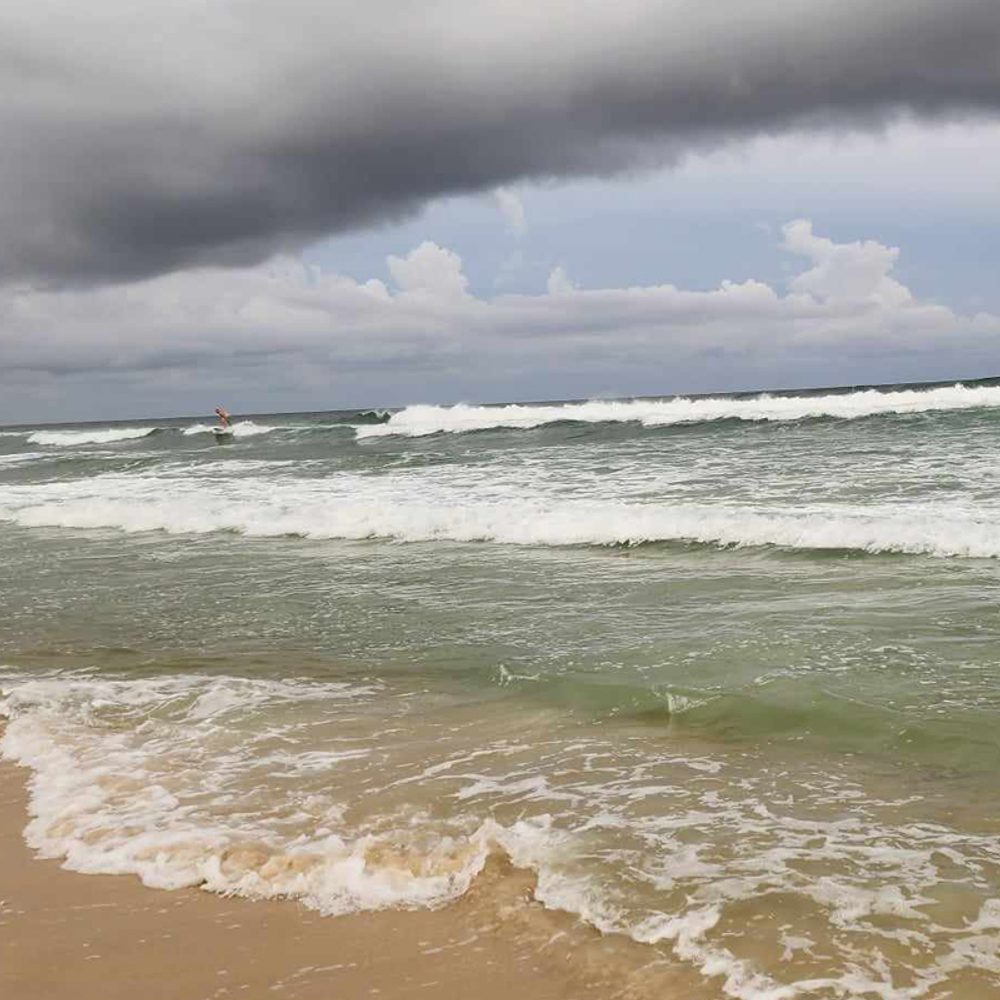 Orange Beach Alabama News