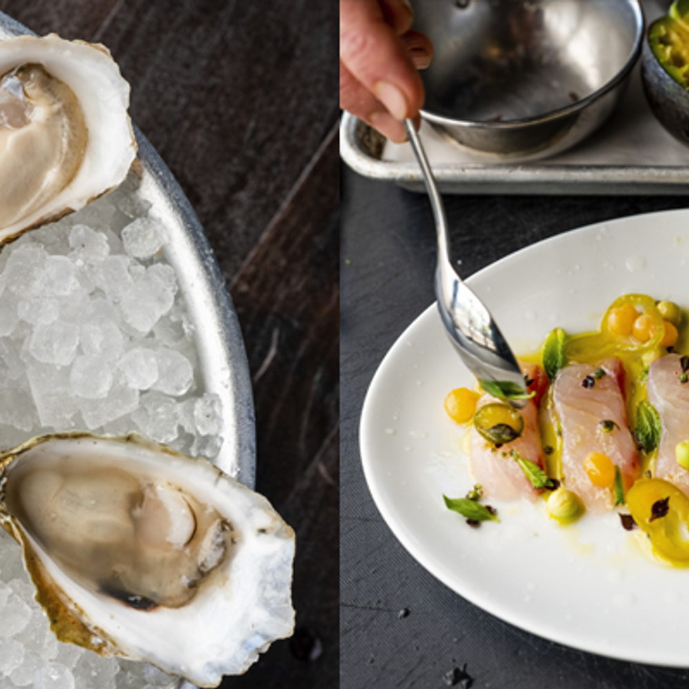 Oysters and Fish from Automatic Seafood Oysters in Birmingham by Chancey Photography Alabama News