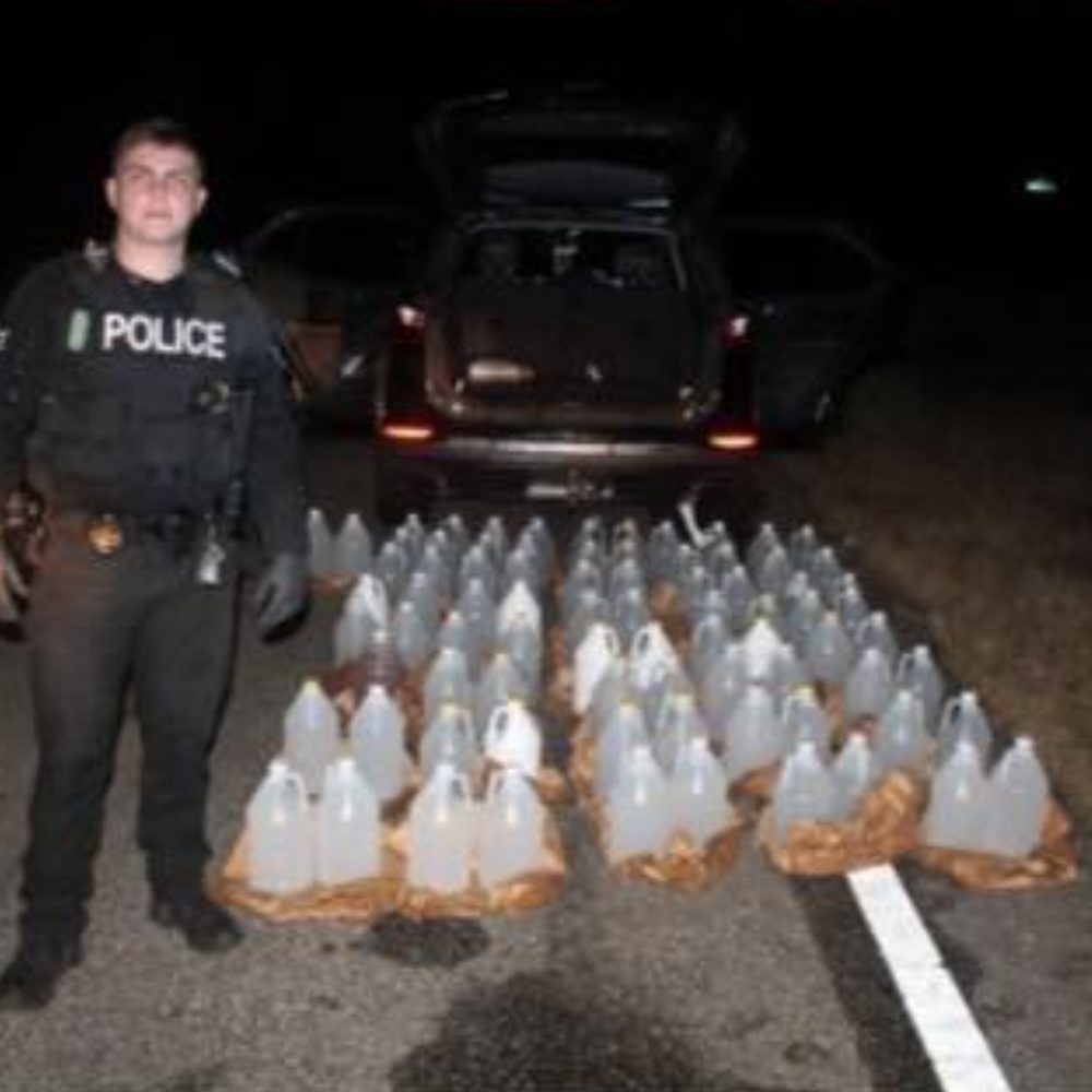 Ozark moonshine Alabama News