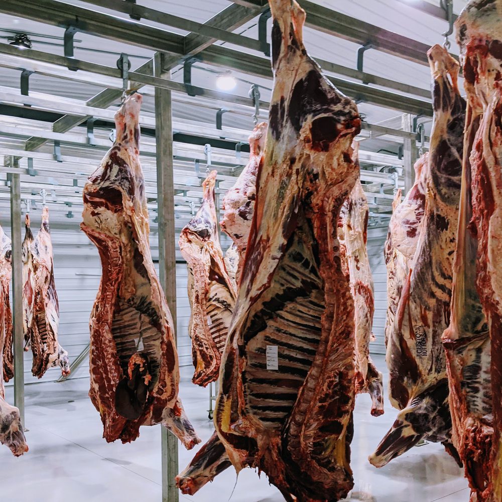 Sides of beef Alabama News