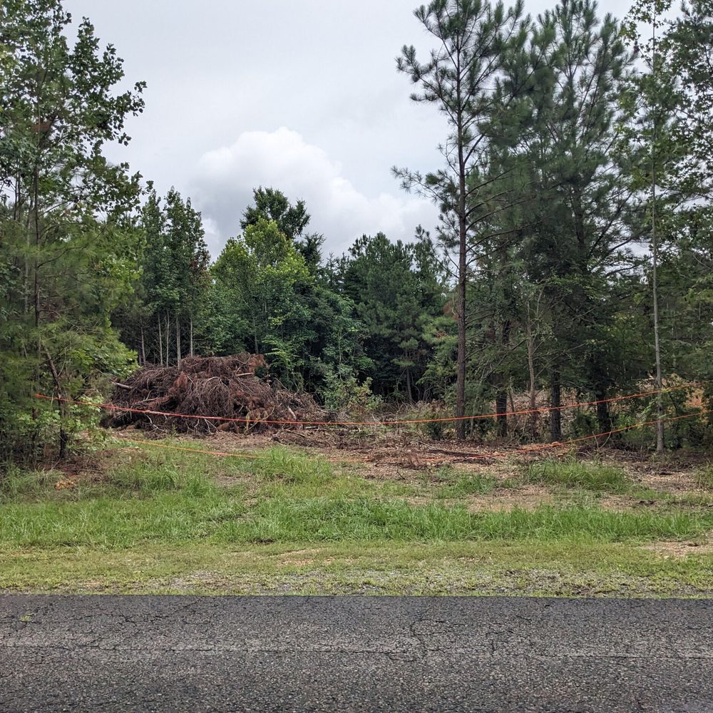 land clearing near lake guntersville Alabama News