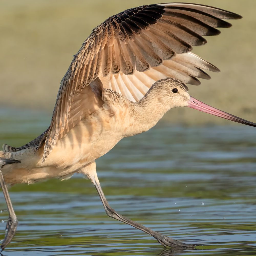Photo exhibit Alabama News