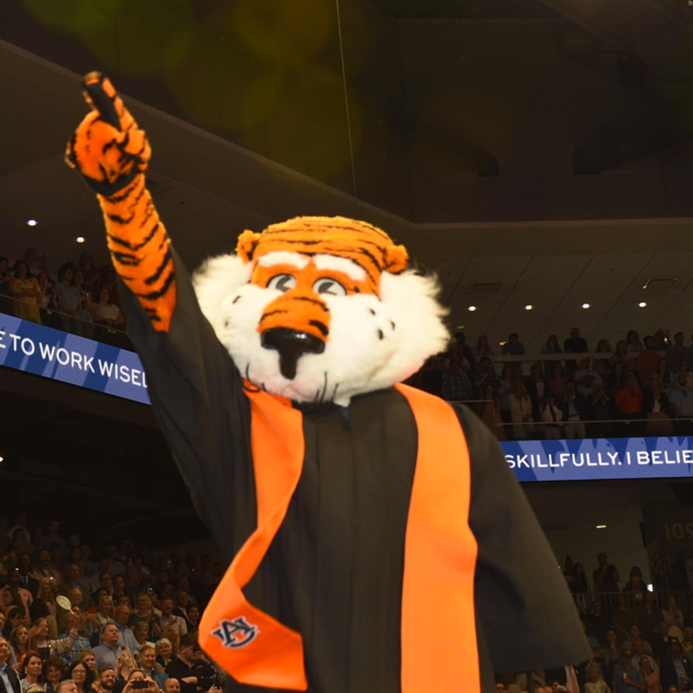 AUBIE. Photo from Auburn Universitys Facebook page Alabama News
