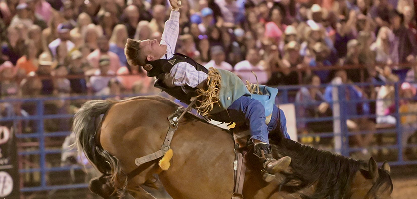 Limestone County Sheriff’s Office to host 40th annual rodeo Friday and ...