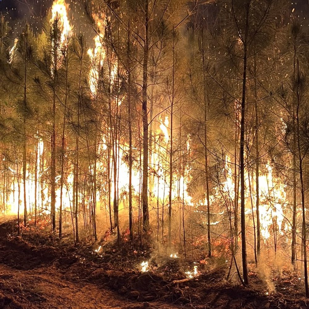 Pine Mountain fire Alabama News
