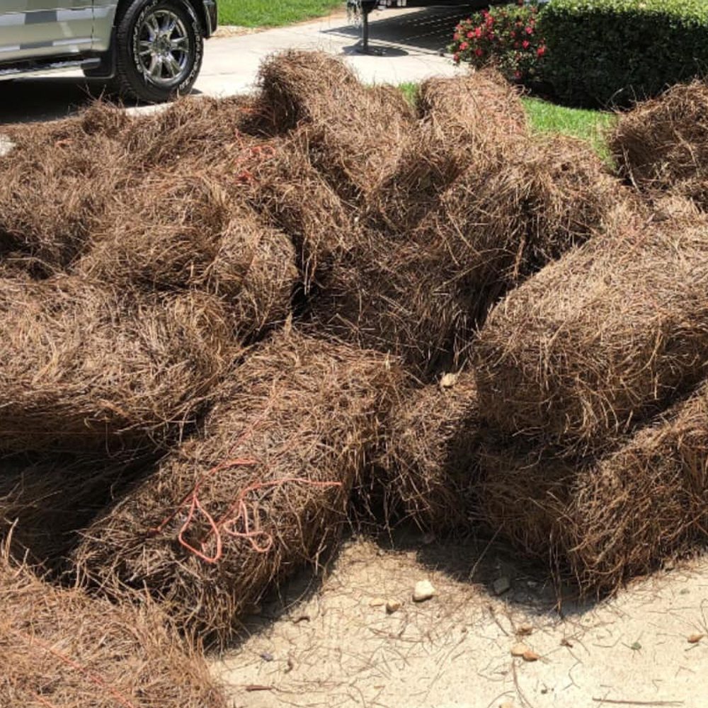 Pine Straw Scam pic Alabama News