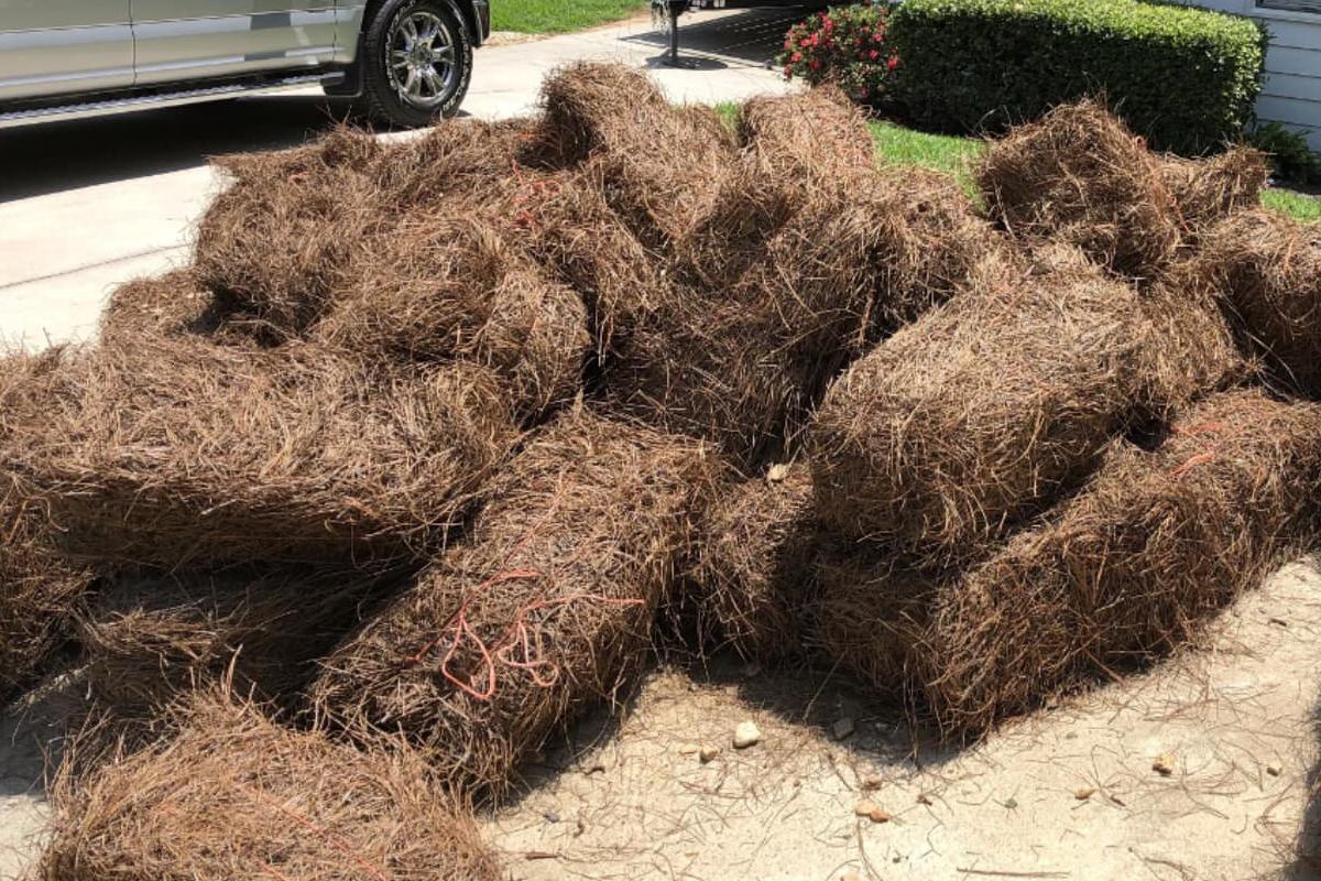 Pine Straw Scam pic