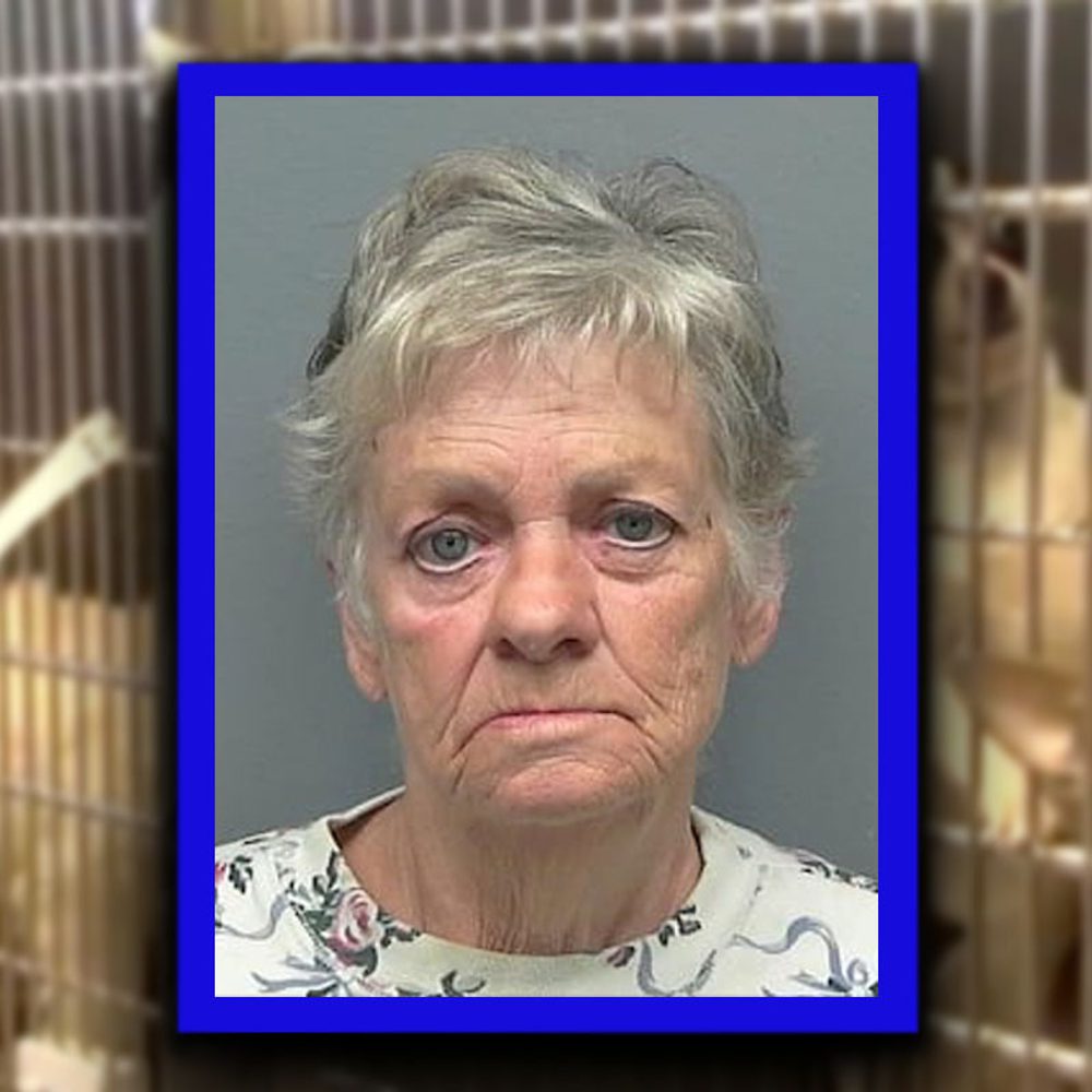 Puppy Mill Alabama News