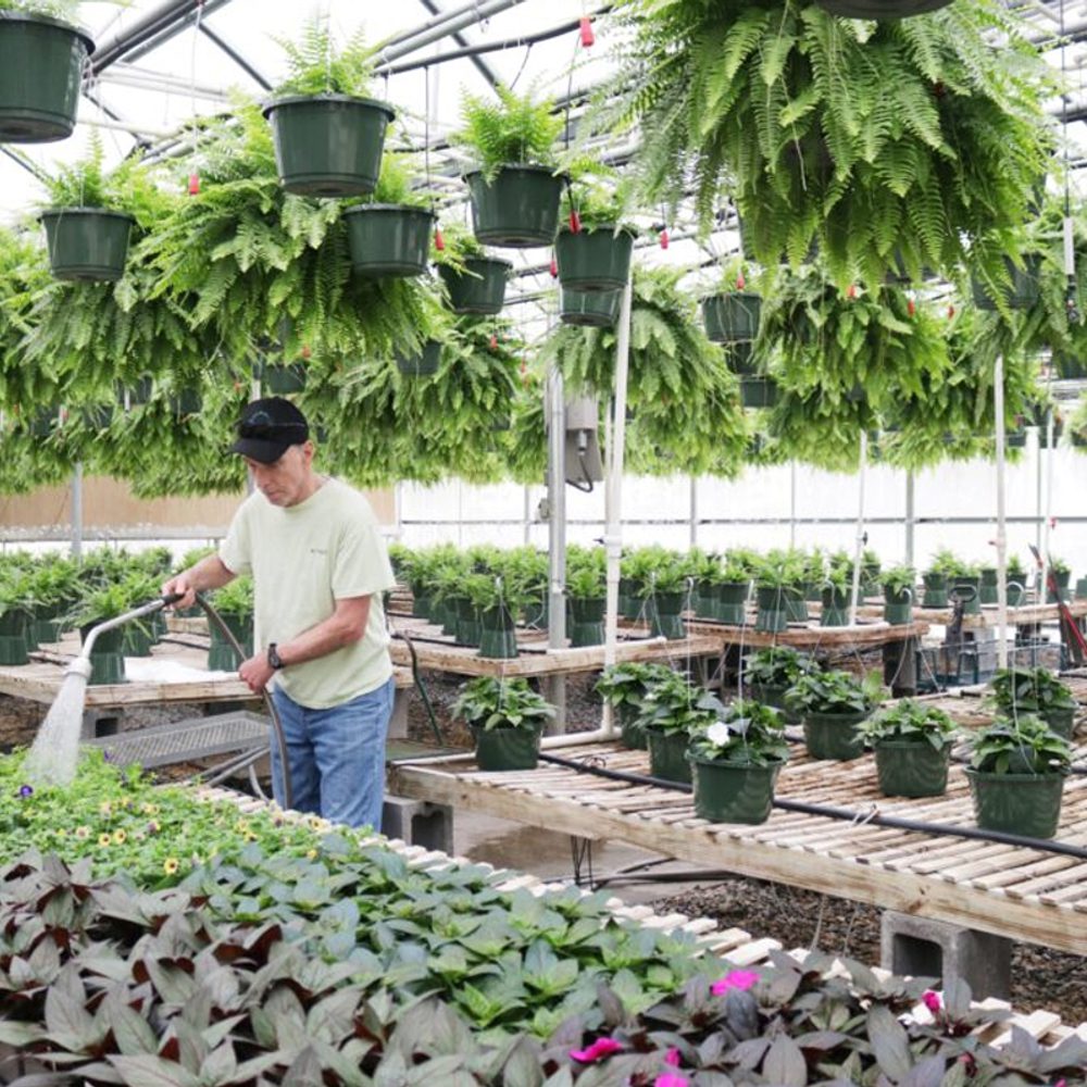 Rainbow Omega Garden Center Alabama News