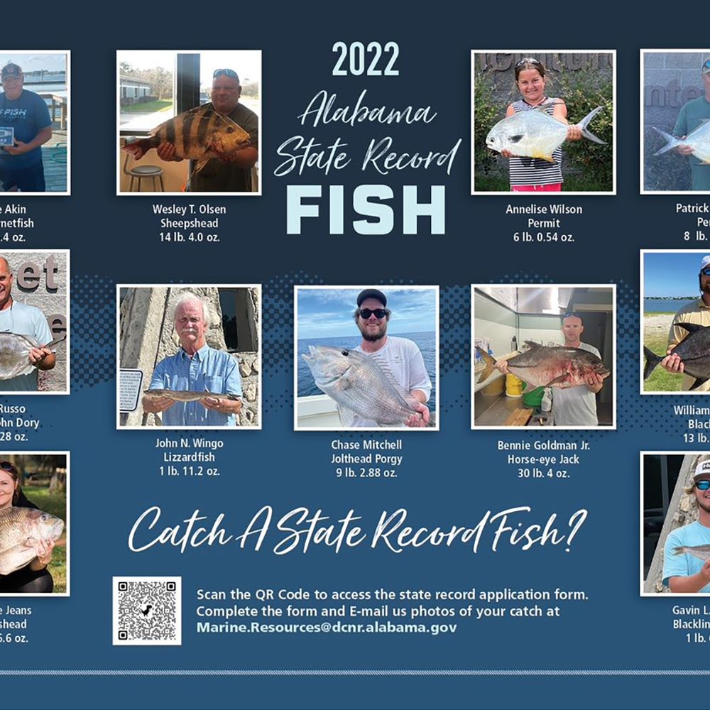 Saltwater state records 22 Alabama News