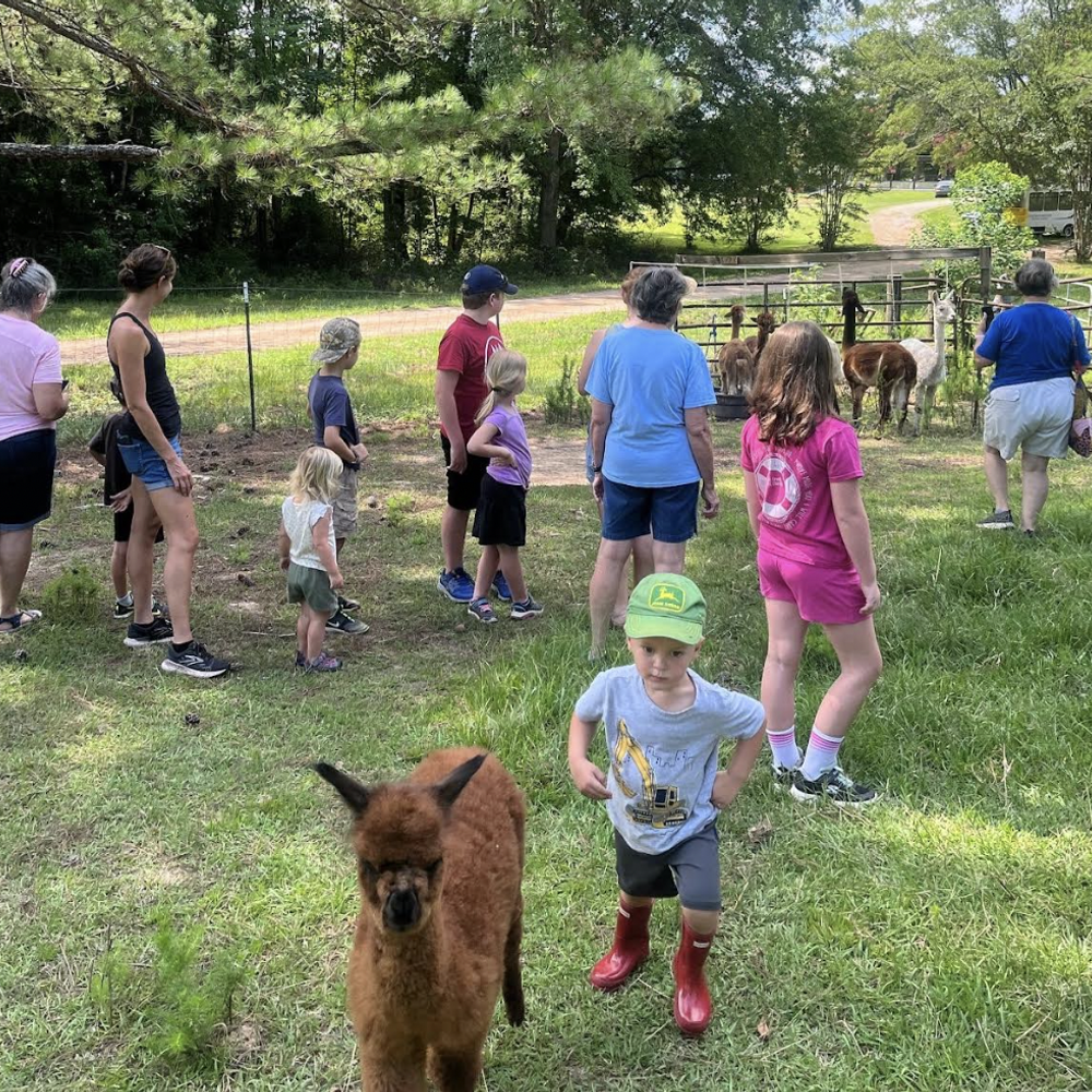 Allyson Andrews, ranch Alabama News